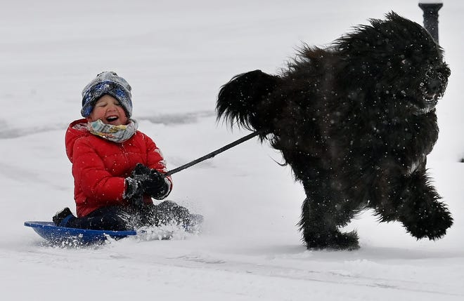 Harvey Ault, 4, hangs on while his 11-month-old Newfoundland puppy, Duke, pulls him in the snow on Monday, Jan. 15, 2024, in Brentwood, Tenn. The first winter of 2024 hit Middle Tennessee and snowfall is expected to continue until Tuesday.